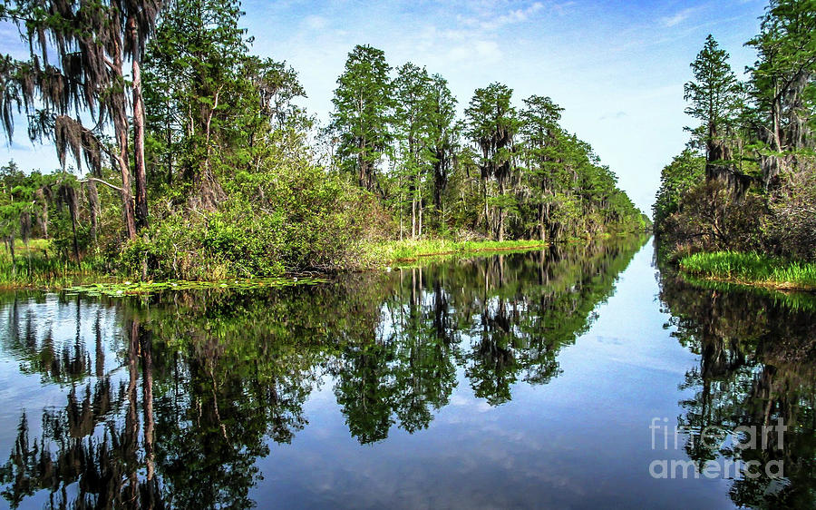 Okefenokee Swamp #1 Photograph by Scott Moore