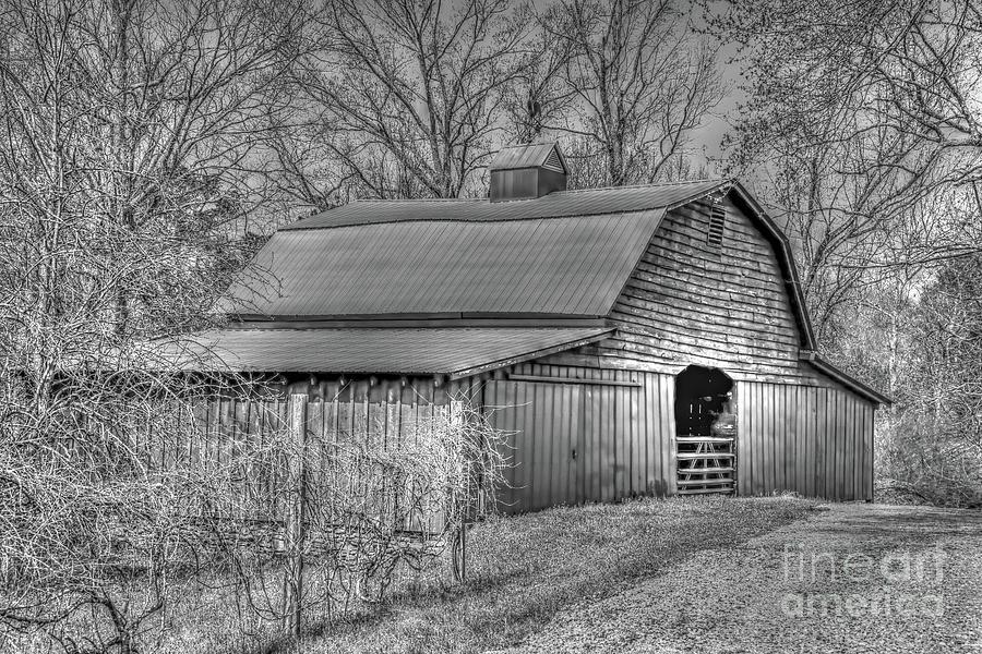 Old Barn 8 Photograph