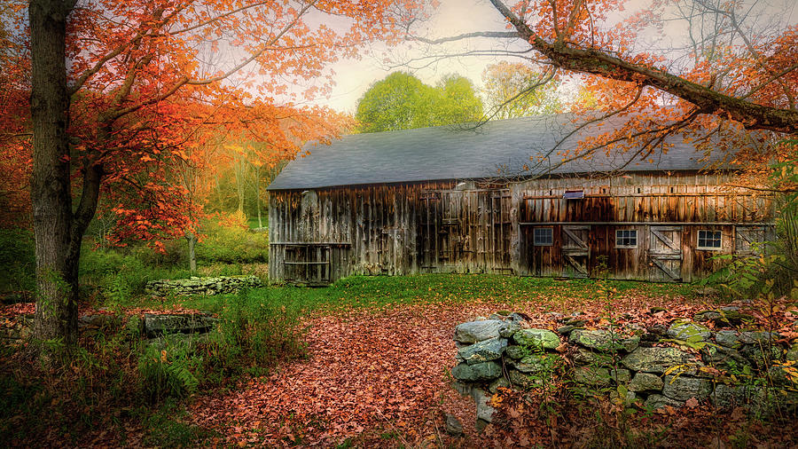Old Barn Dreams #1 Photograph by Bill Wakeley