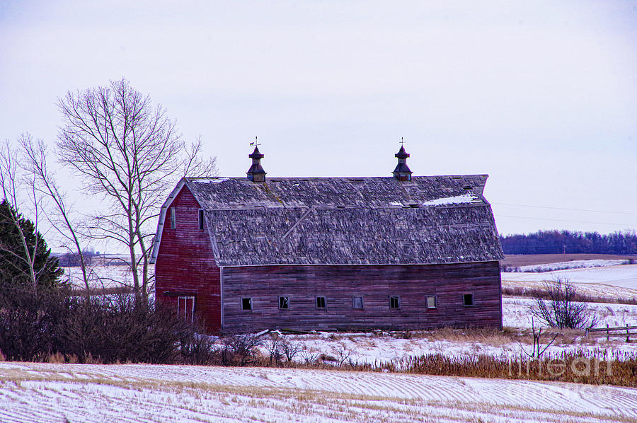 Old Barn In The Winter Photograph