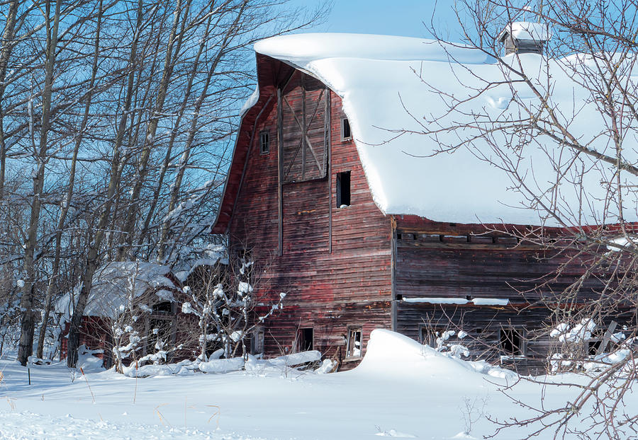 Old Barn in Winter Scene #2 Photograph by Sandra Js