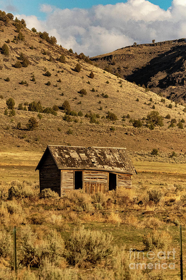 Old Cabin #1 Photograph by Steve Triplett