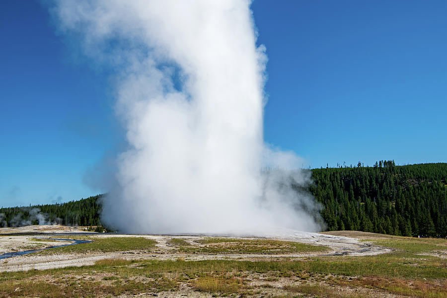 Old Faithful Geyser #1 Photograph by Rose Guinther
