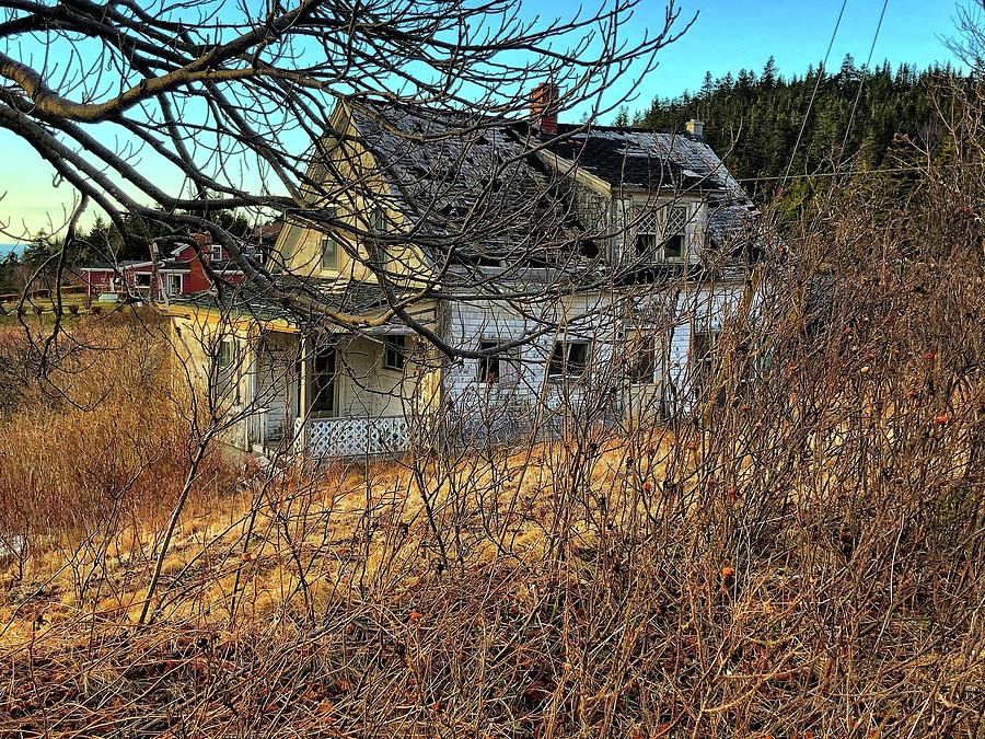 Old Home #1 Photograph by David Matthews