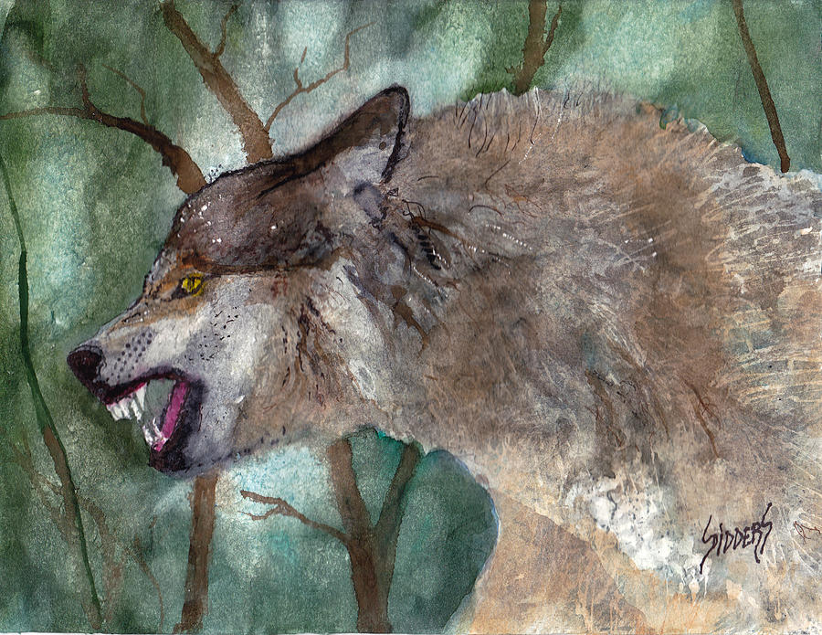 Old Lobo #1 Painting by Sam Sidders