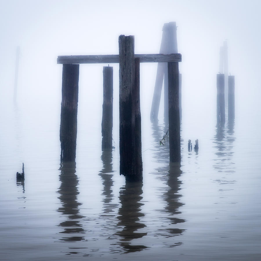 Old pilings at Buckeye Point #1 Photograph by Donald Kinney