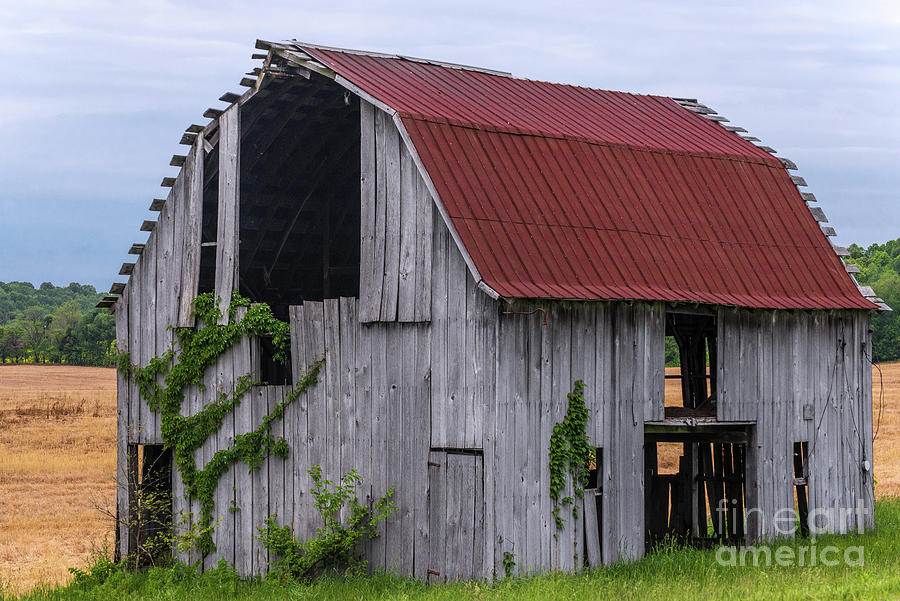 Old Rock City Lookout Mountain Barn - Hardinsburg, Indiana #2 Photograph by Gary Whitton