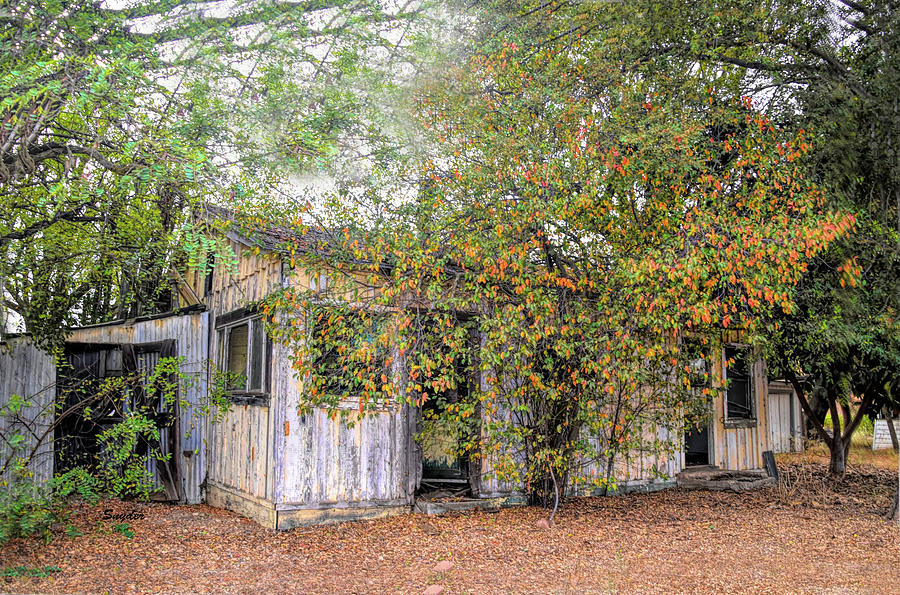 Old Sisquoc Homestead Photograph