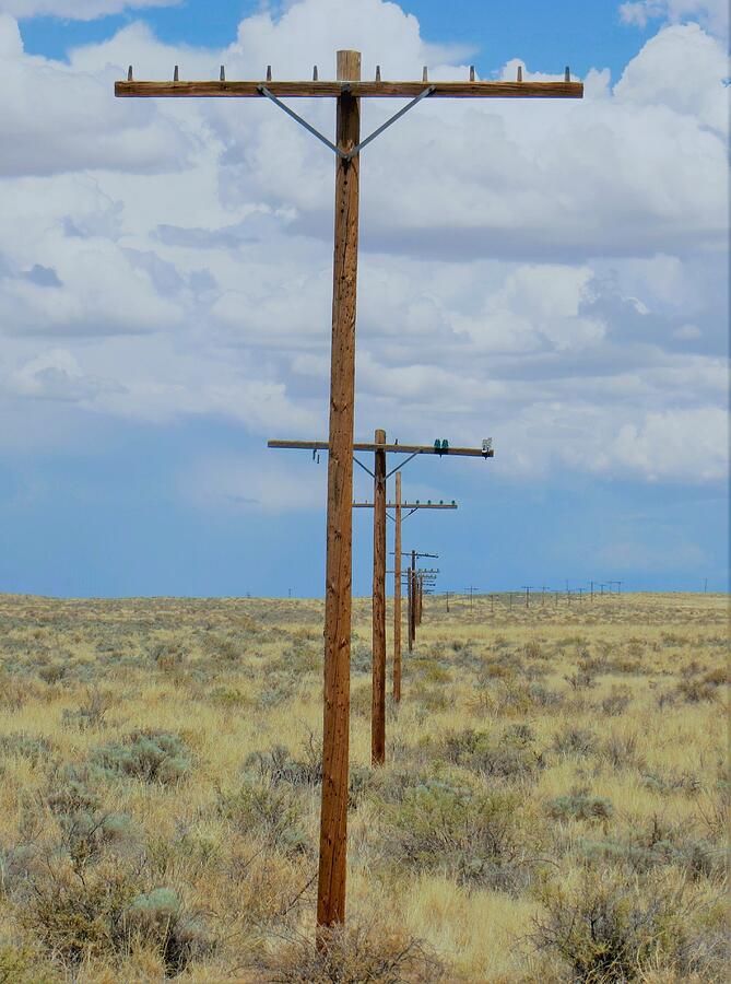 Old Telegraph Poles Photograph By Jim Romo Pixels