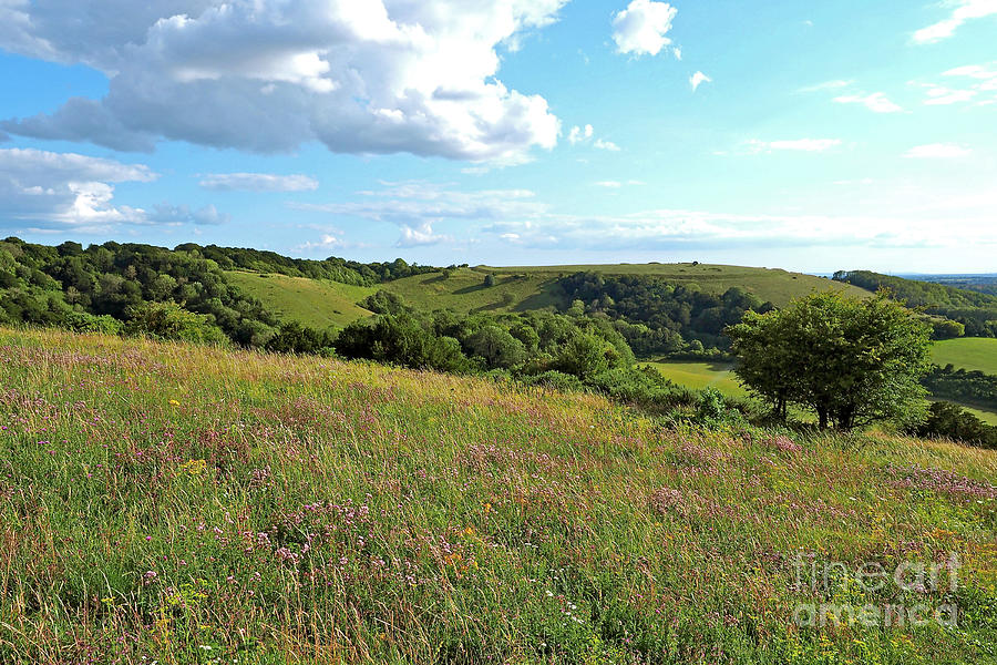 Nature Photograph - Old Winchester Hill #1 by Alex Cassels
