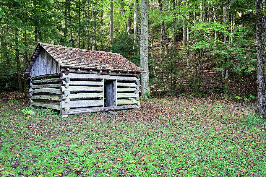 Old Wooden Shed #1 Photograph by Ed Stokes