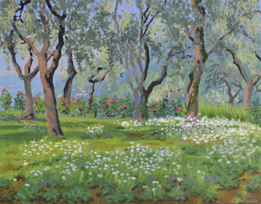 Olive grove #1 Painting by Constanza Weiss