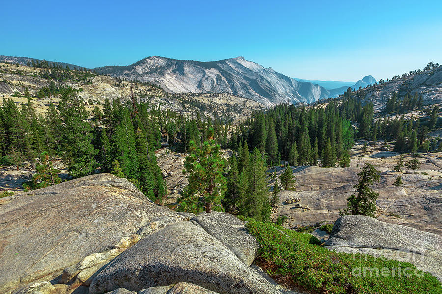Olmsted Point lookout and Half Dome #1 Photograph by Benny Marty