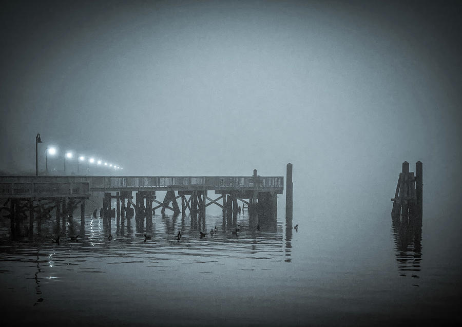 On the Waterfront #1 Photograph by Jeffrey Friedkin