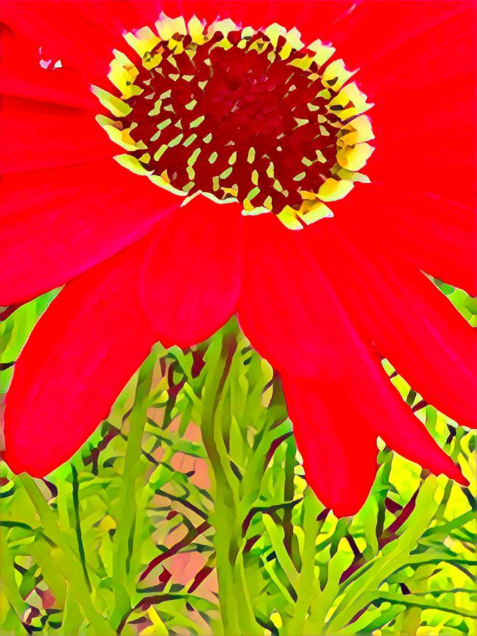 One Red Flower #1 Mixed Media by Bonnie Bruno