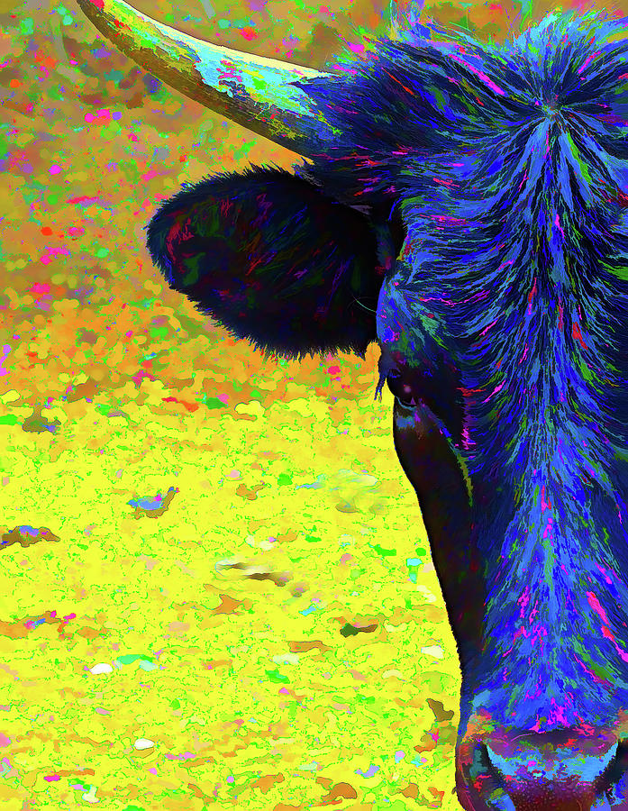 Only Half the Bull #2 Digital Art by Barbara Snyder