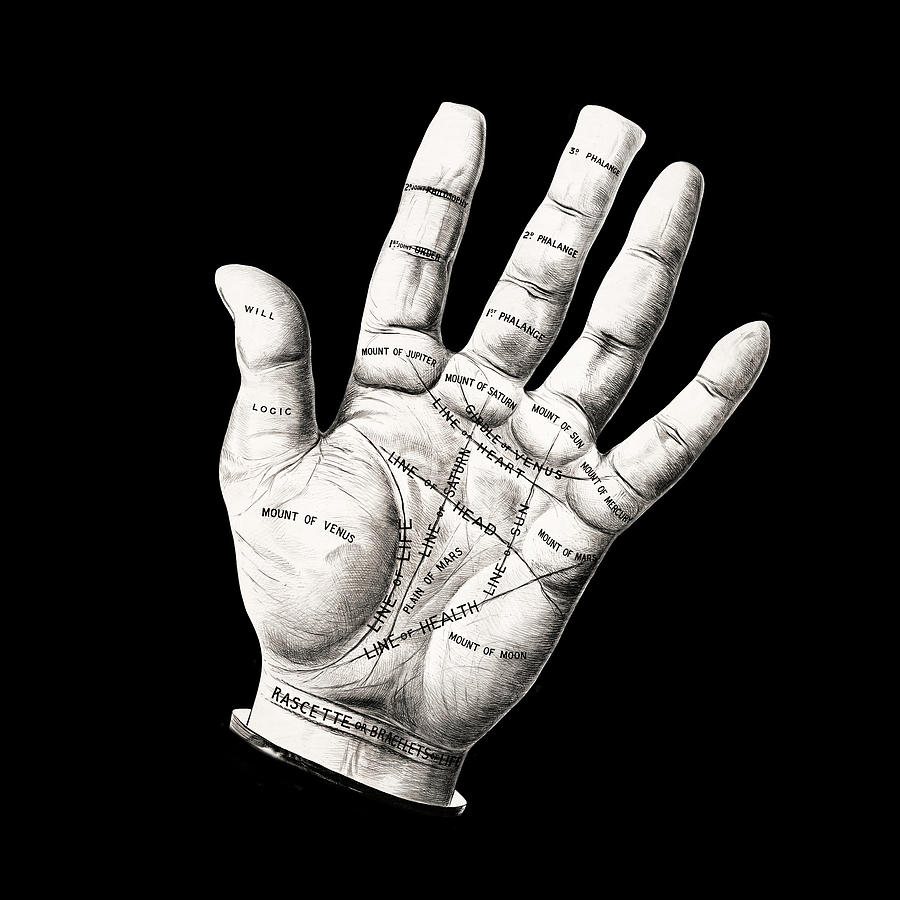 Open Hand Palm Reading #1 Digital Art by Bob Pardue