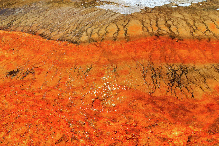 Orange Goo Photograph by Scott Moore - Fine Art America