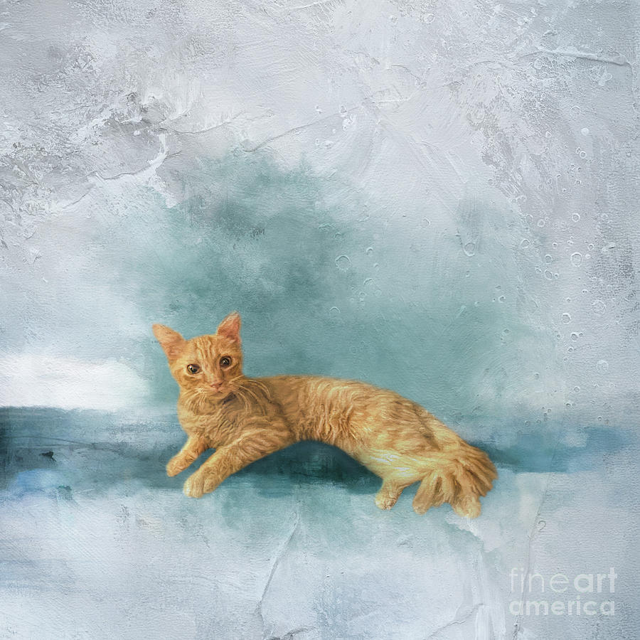 Cat Mixed Media - Orange Kitten with Fluffy Tail Two #2 by Elisabeth Lucas