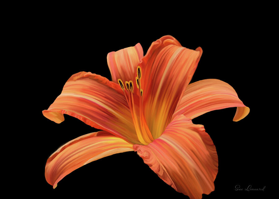 Orange Mexican Lily #1 Photograph by Sue Leonard