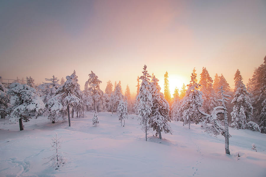Orange rays of the sun illuminate the frosty and snowy Finnish scenery Photograph by Vaclav Sonnek