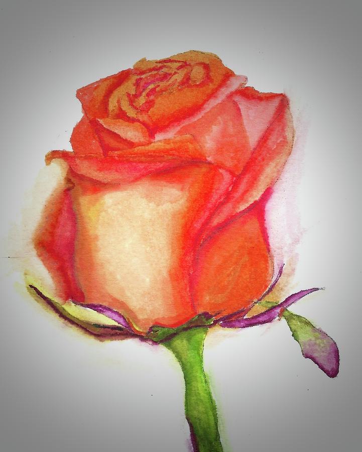 Rose Painting - Orange Rose #1 by Dani Altieri Marinucci