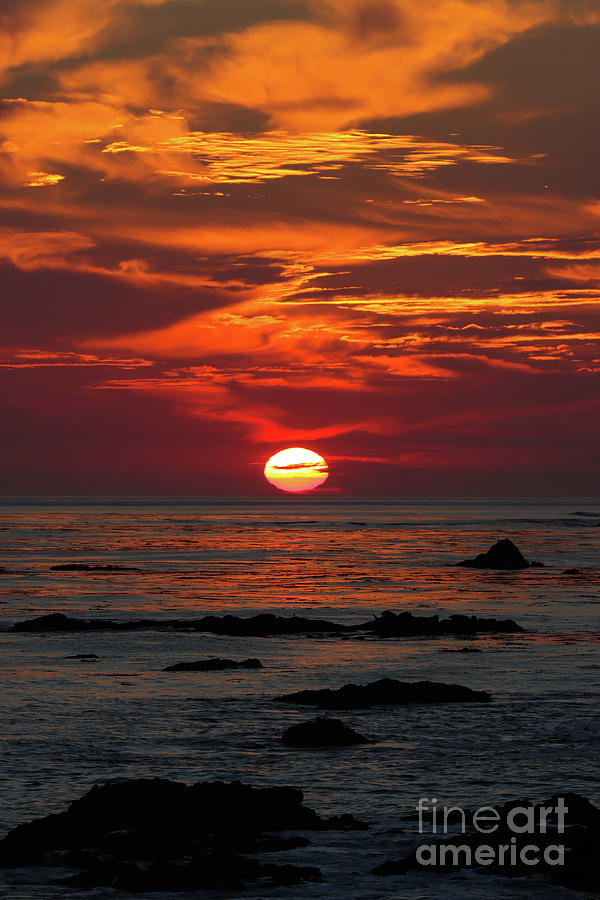 Orange Sunset #2 Photograph by Vivian Krug Cotton