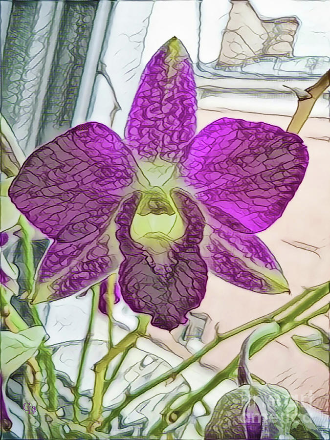 Orchid Mixed Media