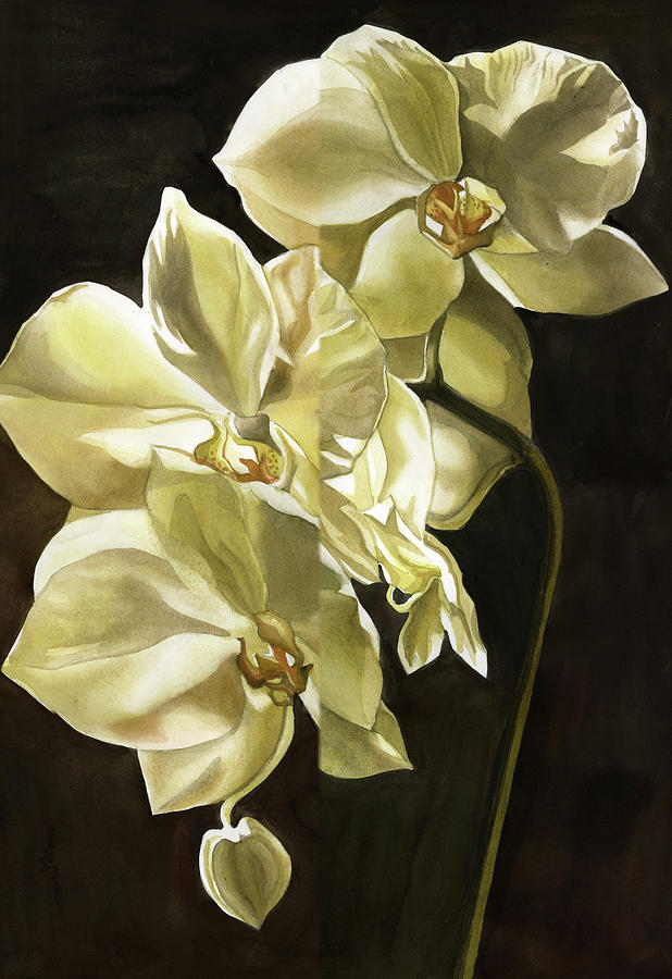 Orchid Under The Moonlight #1 Painting by Alfred Ng