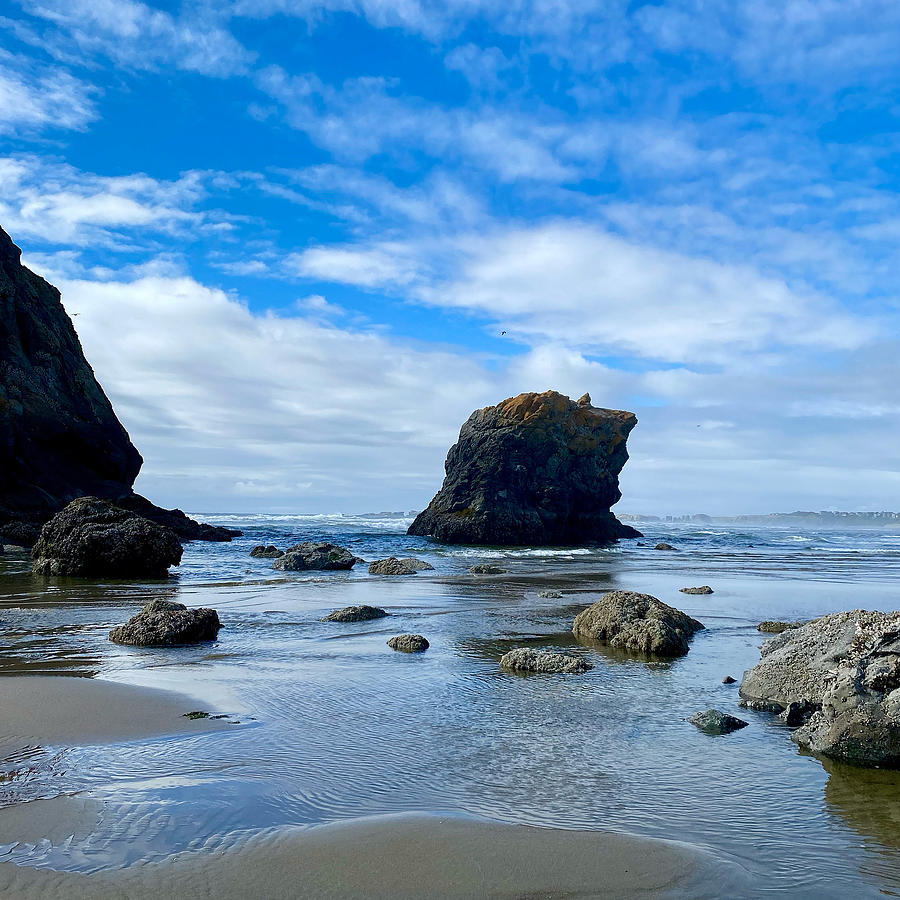 Oregon Coast #1 Photograph by Kristine Smith - Fine Art America