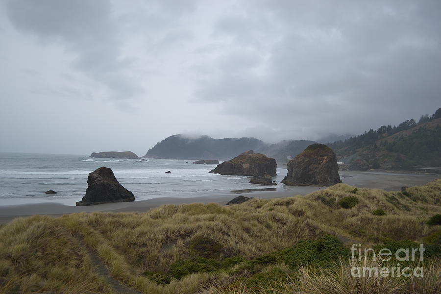 Oregon Coast #1 Photograph by Mary Rogers