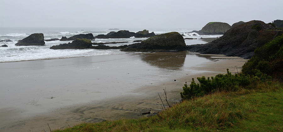 Oregon Coast Photograph