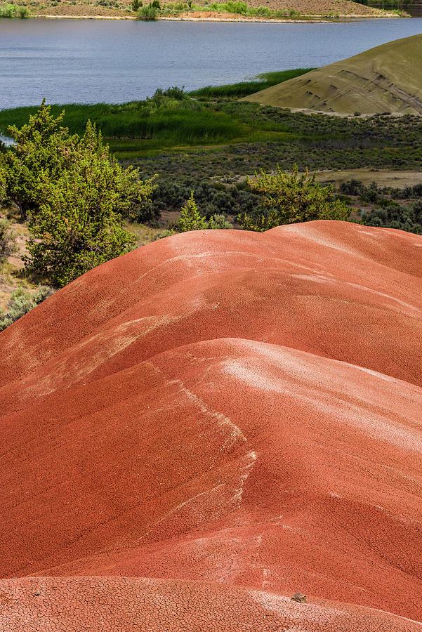 Oregon Painted Hills with Painted Hills Reservoir Vertical #1 Photograph by John Trax