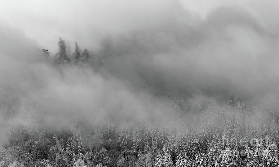 Oregon Winterscape #2 Photograph by Nick Boren