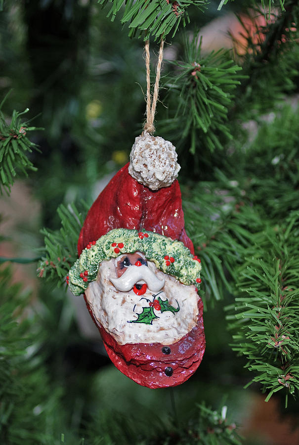 Ornament #1 Photograph by Thomas Whitehurst