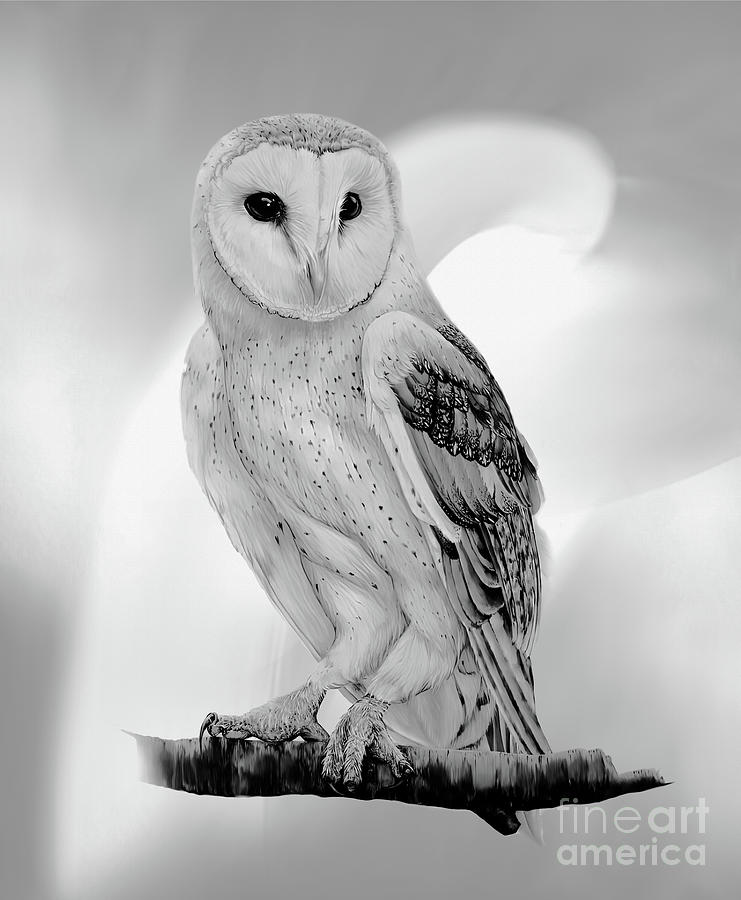 Owl Painting - Owl art #1 by Gull G