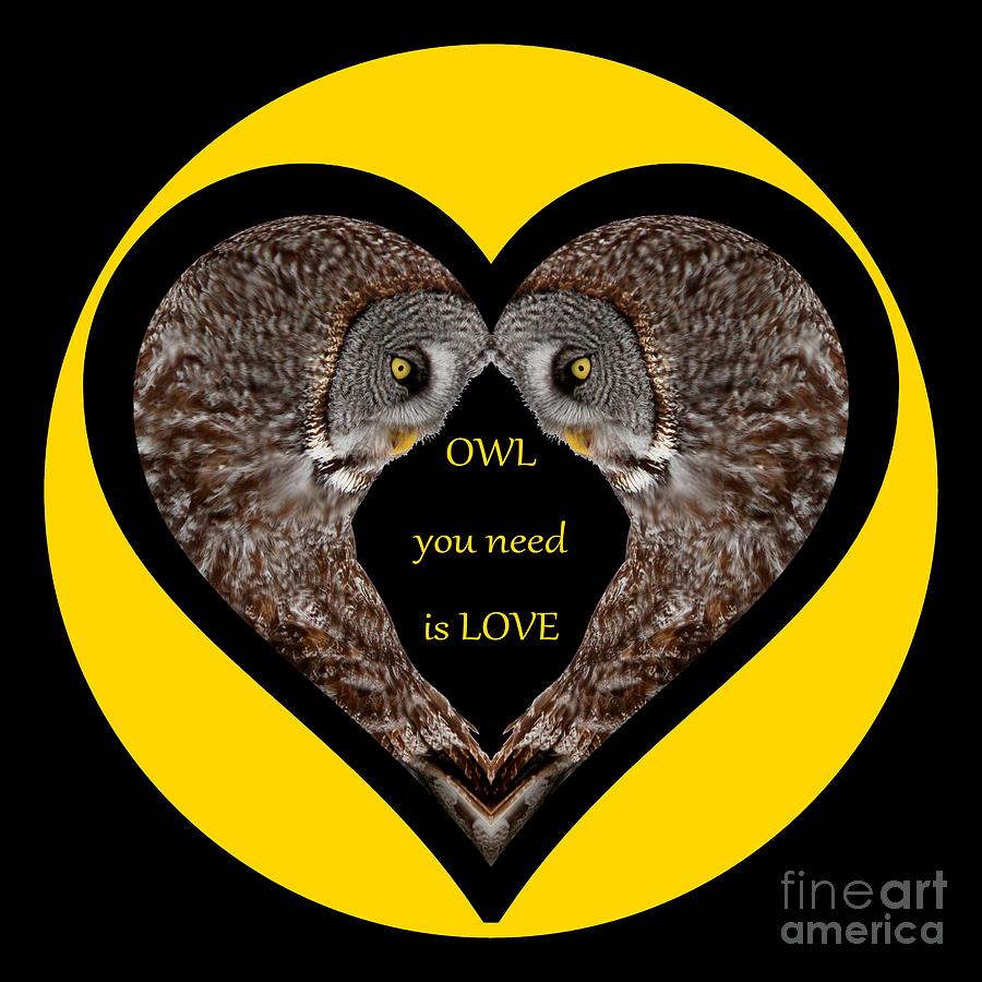 Owl you need is love #1 Digital Art by Heather King