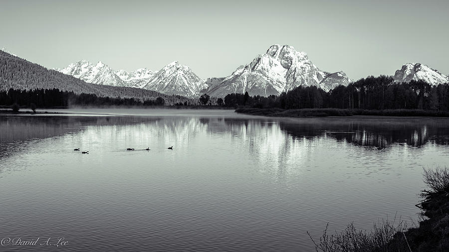 Oxbow Bend #1 Photograph by David Lee