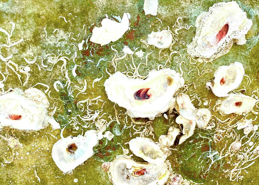 Oyster Flowers Photograph