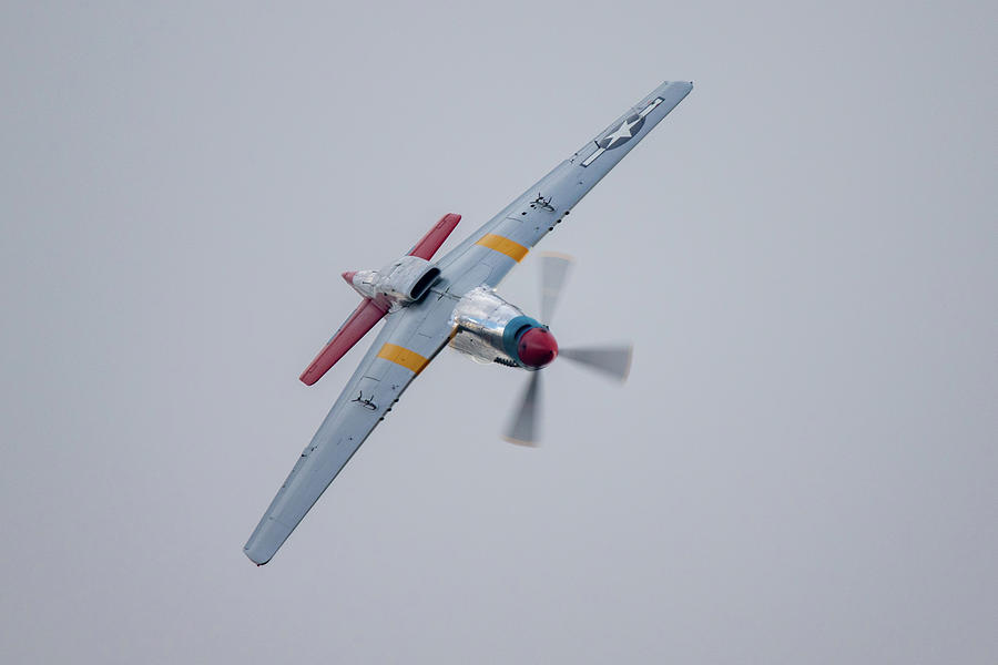 P51 Mustang Tall In The Saddle #1 Photograph by Airpower Art