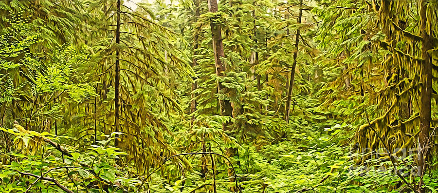 Pacific Rim Rainforest Painterly Photograph by Chuck Burdick