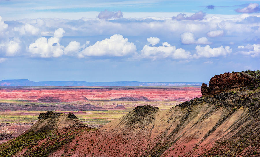 Painted Desert 2 #1 Photograph by Betty Eich