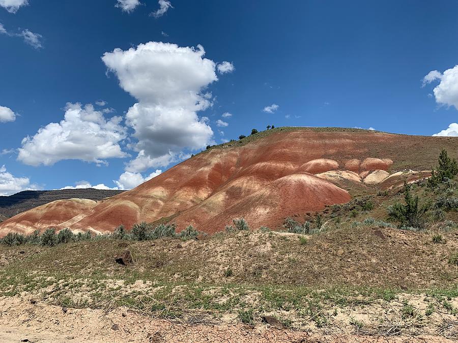 Painted Hills, Oregon 2 #1 Photograph by Val Oconnor