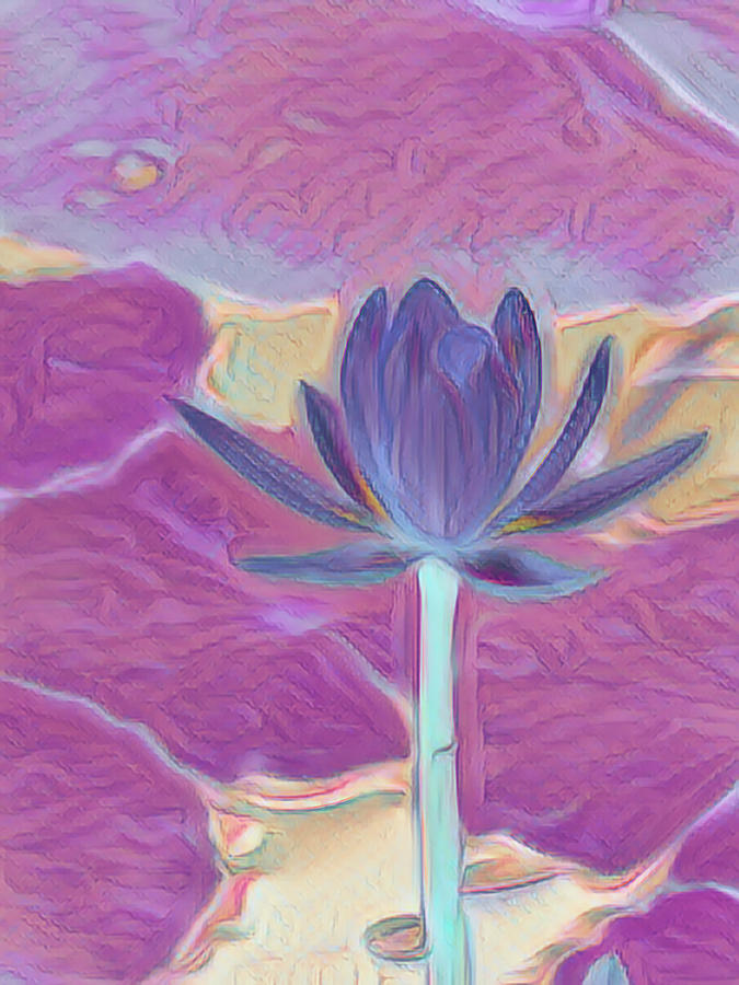 Painted Water Lily #1 Painting by Rosalie Scanlon