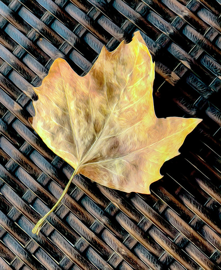 Painterly Autumn Leaf On Webbed Seat #1 Photograph by Gary Slawsky