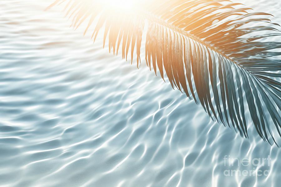 Abstract Painting - Palm Leaf Shadow On Abstract White Sand Beach Background Sun Lights On Water Surface Beautiful Abstract Background Concept Banner For Summer Vacation At The Beach #1 by N Akkash