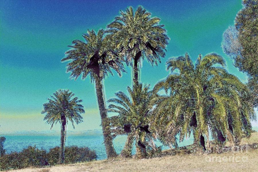 Palm Trees Along the Bluff #1 Photograph by Katherine Erickson