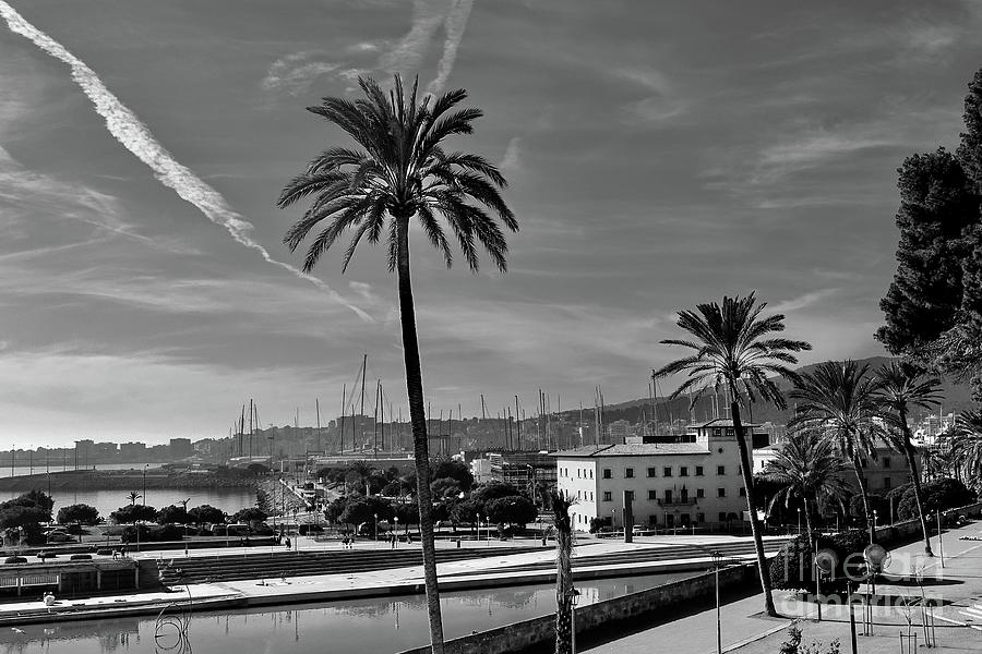 Palma de Mallorca #1 Photograph by Elisabeth Derichs