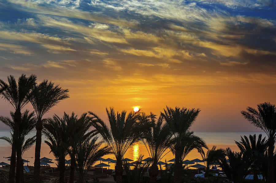 Palms And Sea On Resort Before Sunrise #1 Photograph by Mikhail Kokhanchikov