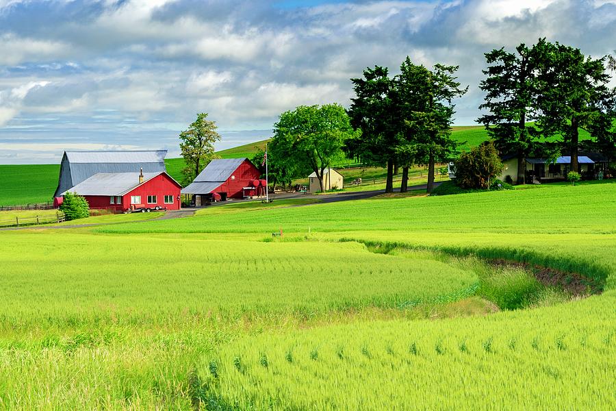 Palouse Farmland Photograph by Tim Reagan - Pixels